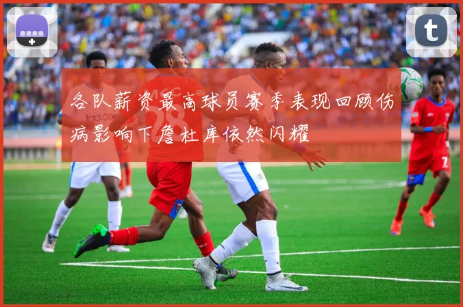 各队薪资最高球员赛季表现回顾伤病影响下詹杜库依然闪耀