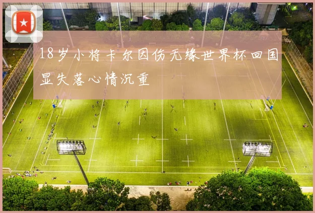 18岁小将卡尔因伤无缘世界杯回国显失落心情沉重